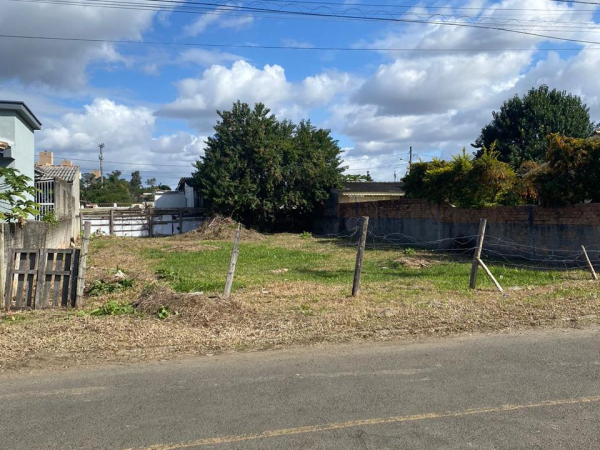 LOTE BOA VISTA